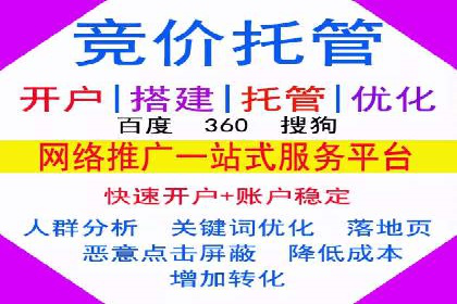 谷歌SEM成功案例：助力企业业绩增长